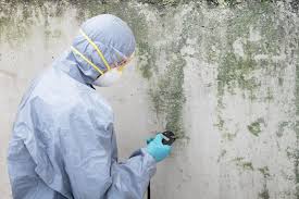 Best Mold Remediation for Healthcare Facilities  in Fairfax Station, VA